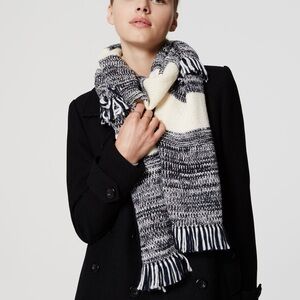 LOFT Monochrome Knit Scarf with Fringe